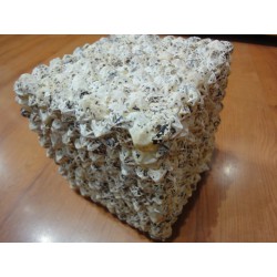 CUBO 15X15 DI PATELLA